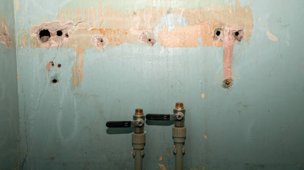 Best Water damage restoration near me  in Pleasantville, NY